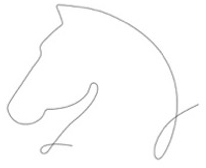 Tulia Coaching met Paarden