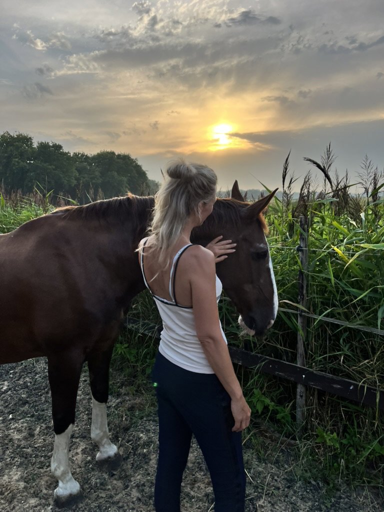 Individuele coaching met paard