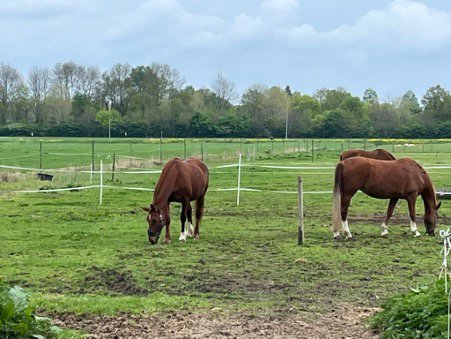 Samen maar toch eigen ruimte